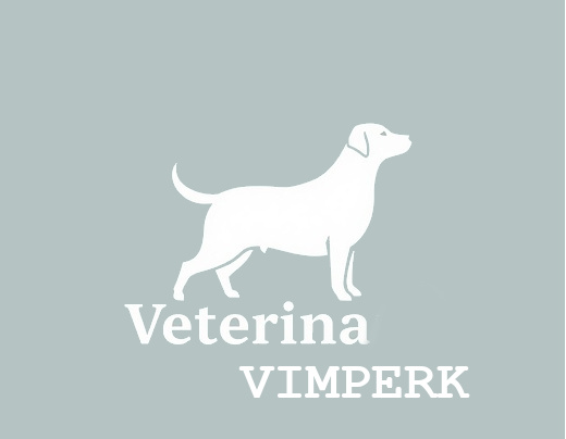 logo vimperk.jpg